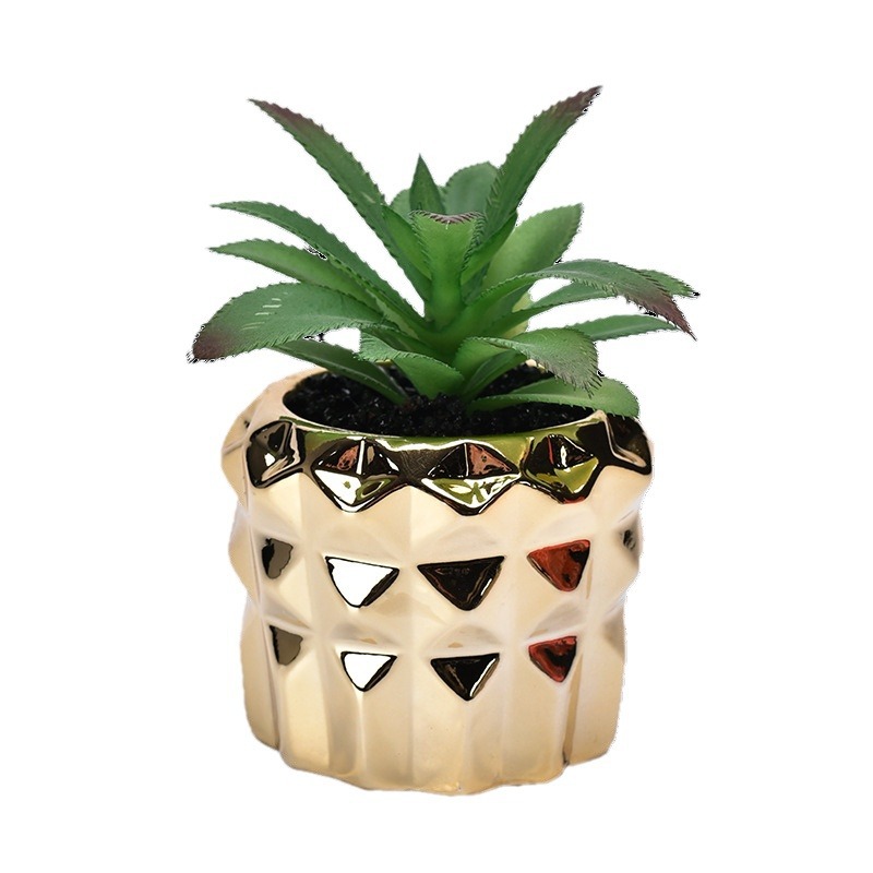 Maceta suculenta de cerámica con baño dorado, estilo fruta