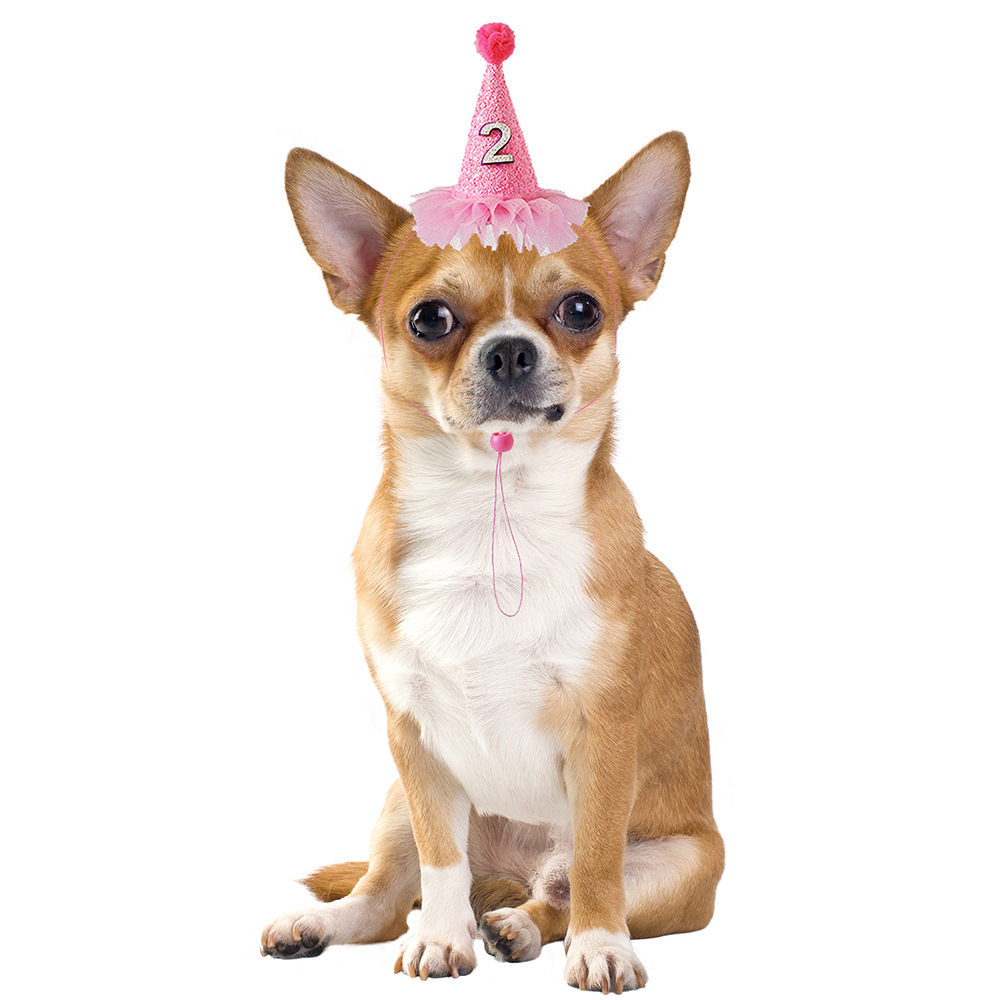 Transfronteriza dibujos animados mascota cumpleaños sombrero mascota cumpleaños saliva toalla perro triángulo toalla accesorios mascotas suministros para mascotas