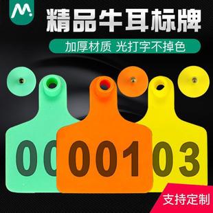 Ear Number Plate Cattle Farm Cattle Ear Cattle Words Cattle Identification Plate Sign Cattle Farm Ear Marker Belt