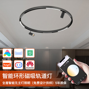 智能嵌入式圆形磁吸轨道灯明装客厅弧形无主灯照明暗装led环型灯-阿里巴巴