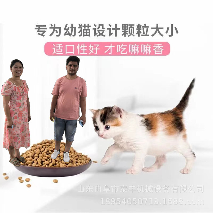 自动上料饲料颗粒机 环模250猫砂机 漂浮颗粒鱼饲料成型机