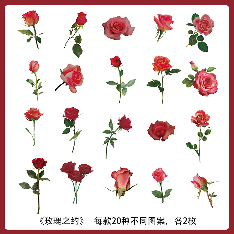 Plantas y flores materiales pegatinas artísticas decoración collage chica Goku tarjeta taza de agua caja de teléfono móvil diy personalizado