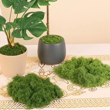 仿真苔藓青苔室内盆景铺设人造草皮微景观装饰绿植造景丝状假苔藓