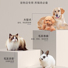 �Ӽ�&lsquo;������ë�����ʌ�����Ƽ�؈����ë�����I�깷ë���ӾӼ�