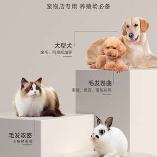 �Ӽ�&lsquo;������ë�����ʌ�����Ƽ�؈����ë�����I�깷ë���ӾӼ�