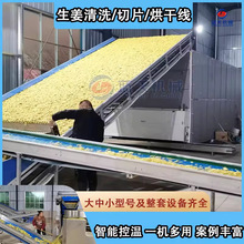 鲜生姜烘干机 全自动生姜清洗切片烘干磨粉整套设备 生姜片干燥机