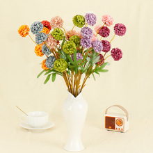 5头单枝小球 小红书推荐INS风拍照道具婚庆地排花家居装饰仿真花