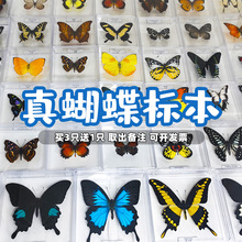 �����˱��[���ֹ����x�˱��b�Ʒչ��������˱��W���������նY��