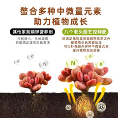 Factory direct sales of eight old men's home gardening controlled release fertilizer for household flower cultivation general nitrogen, phosphorus and potassium flower compound fertilizer