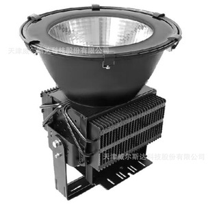 Zhejiang Zhenghui Lighting Chhi Zhenghui Fake One Penalty Ten High Power Led Bright Light Zh-Fl1-300