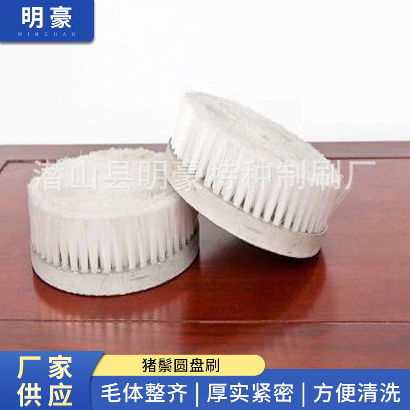 猪鬃圆盘刷 扫路车圆盘刷小圆盘刷 洗地圆盘刷