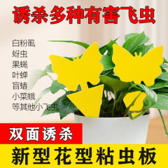 黄色蝴蝶花形异形粘虫板黏虫板昆虫陷阱双面异形粘虫板诱虫板