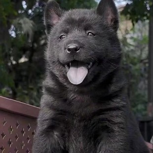 ���N��ڌ��ﹷ���w�����CȮ����A��@Ȯ�V��������ͥ�o�lȮ