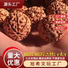 �����tƤ����ԭ�Ӵ���������ִ�6��7��8��9�Ű���ʿŮʿ�ִ����