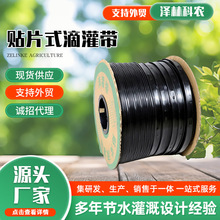 {ݮ@׃Ⱥڵι܎ ҴݮĤµˮ NƬʽι