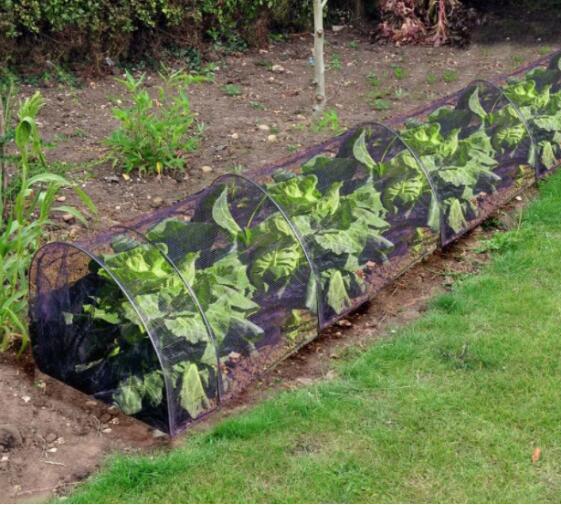 免用农药杀虫黑色防虫防晒植物罩