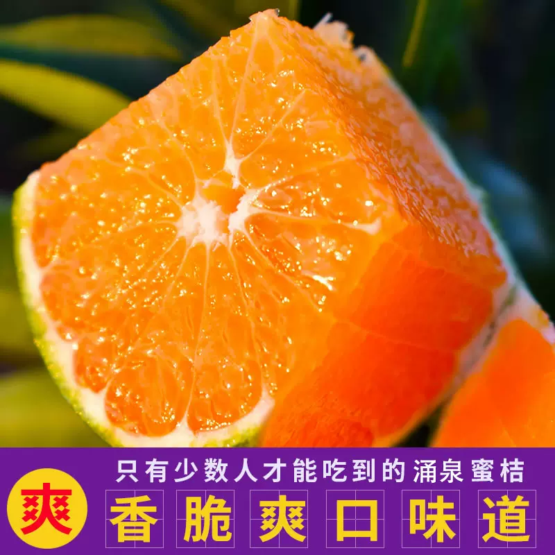 上门采摘临海涌泉蜜桔橘子水果新鲜早熟宫川现摘黄岩高山自家种的