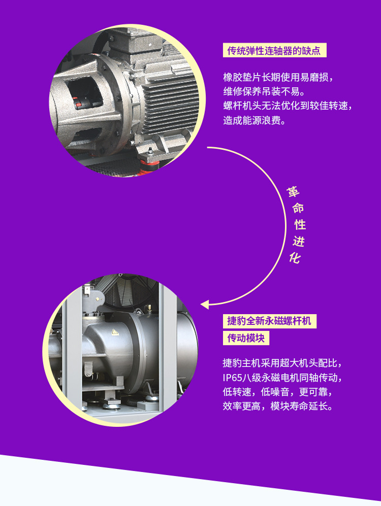 Jaguar Fortune Es Series Permanent Magnet Screw-Type Inverter Air Compressor Screw-Type Air Compressor Complete Set