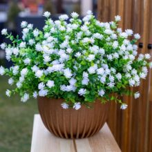 �羳���R�d����ٻ����ݲ軨���⻨�@ͥԺ�b��ȼ�������~���滨