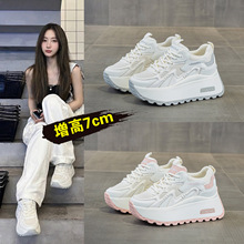 2026�ļ��¿�������n�������e�WЬϵ���ϵ�Ь�W��ЬС��ЬŮЬ
