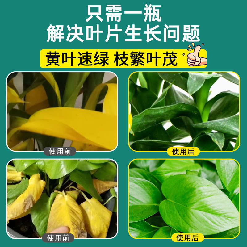 黄叶速绿原液植物通用型家庭园艺促生长营养液改善黄叶温和不伤根|undefined