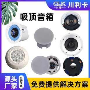 3w6w10w15w2w ceiling speaker professional audio school playground multi-function hall station ceiling speaker