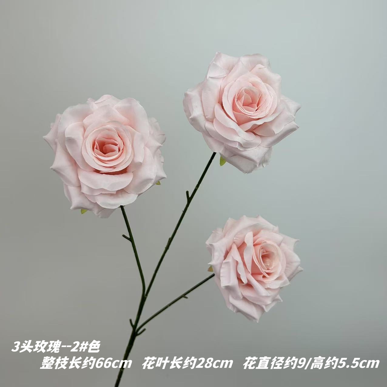 2 # 색상