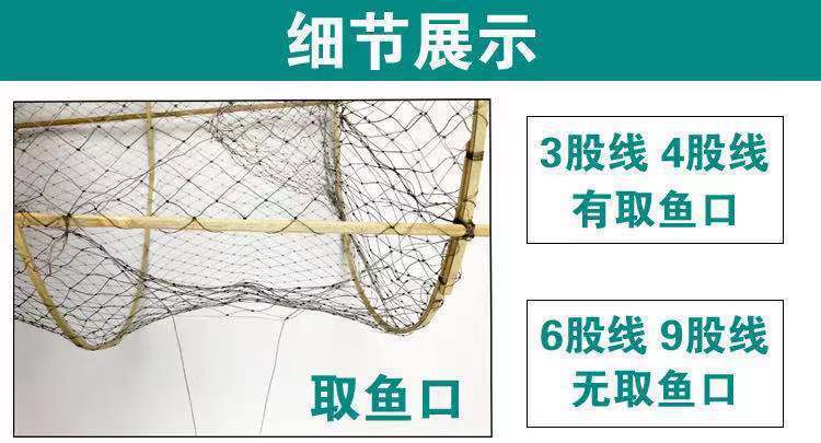 ef436610-86a1-4192-9740-a544028039de.jpe