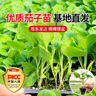 �ļ����������玧�����Լ޽���Ʒ�N���Ѻ��ѷN�Ѵ����߲�������