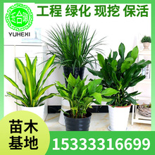 ���l�G�������F�����Դ���횘��ݼy�F�����F�f����С���҃��ϱ���