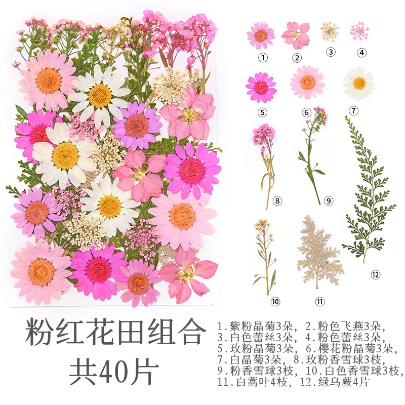 핑크 꽃밭 (40 꽃)