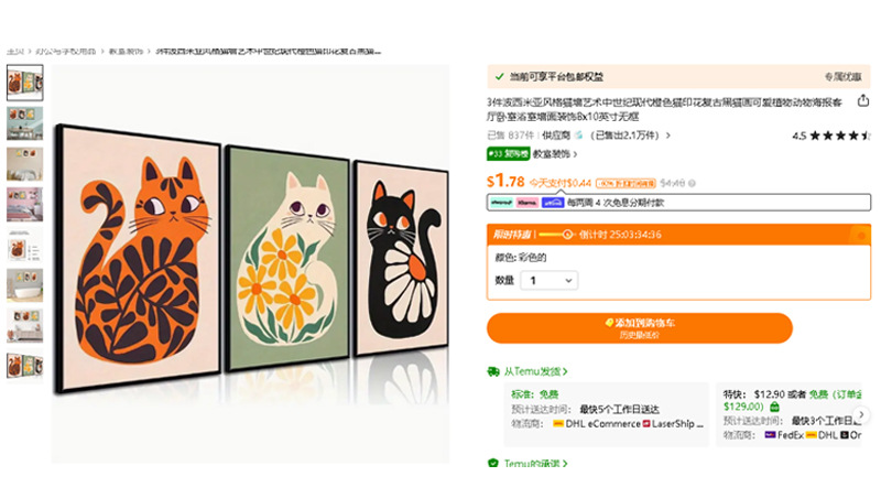 波西米亚猫 (11).jpg