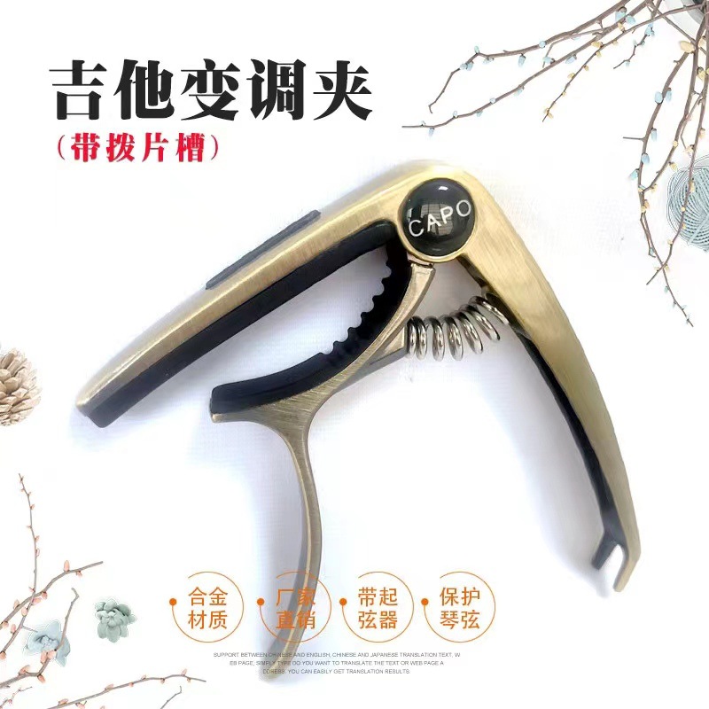 브론즈 (픽 슬롯 포함)