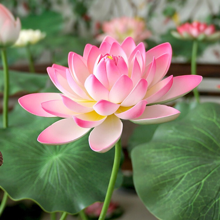 Eva with Pole Simulated Lotus Lotus Leaf Lotus Dance Props Pool Stage Landscaping Decoration Fake Simulated Flower Green Plants