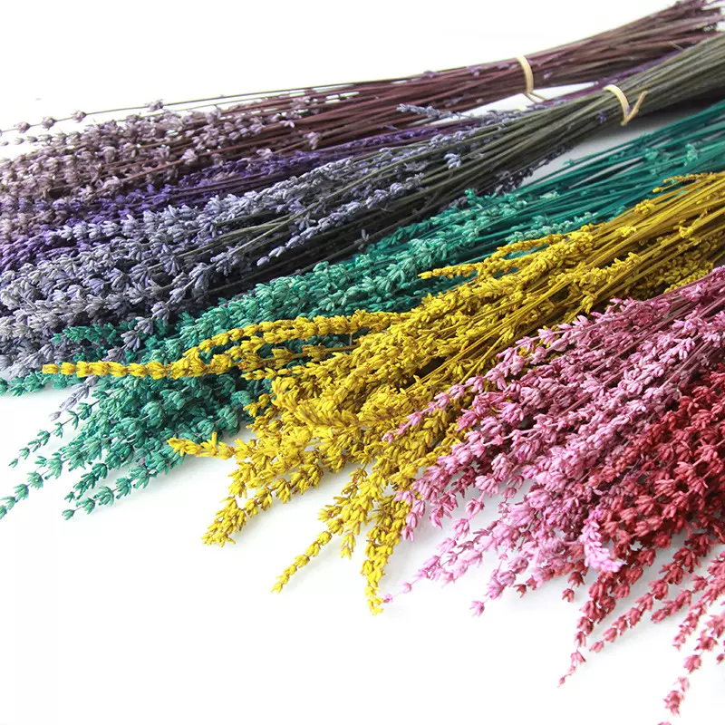 狂想者永生花薰衣草干花薰衣草干花永生花家居装饰插花diy