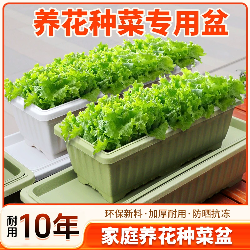 Rectangular plastic flower pots, household strawberry planting pots, household artifacts, special boxes for growing vegetables on the balcony, long pots