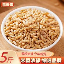 新货燕麦米5斤 农家自种燕麦仁荞麦米全胚芽燕麦五谷杂粮粗粮250g