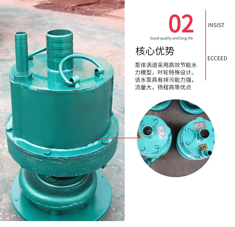 潜水泵 (3)