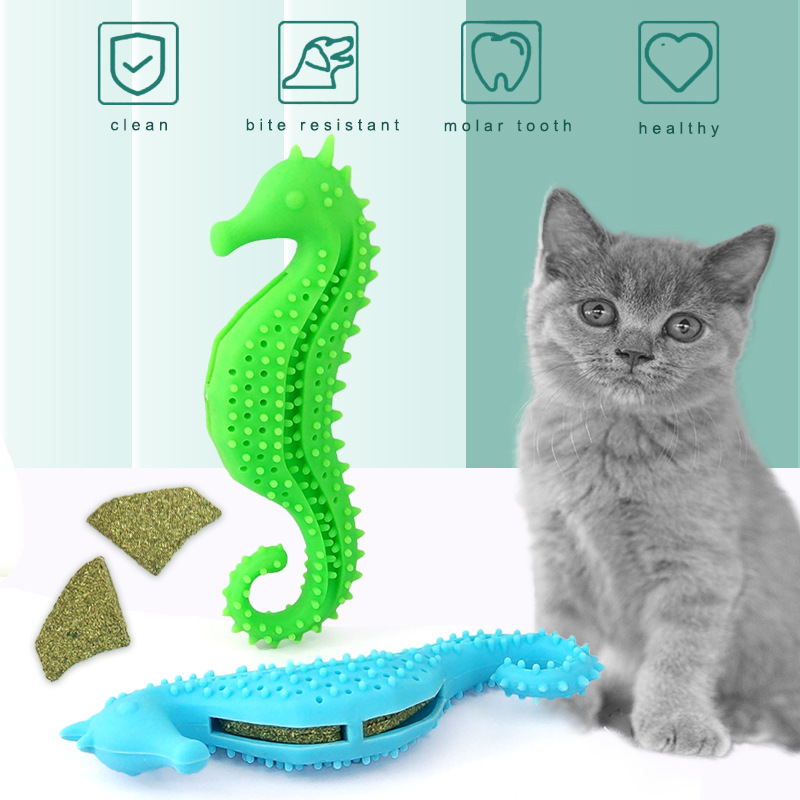 猫牙刷-英文3.jpg