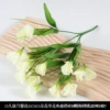 15 carnations flowers white