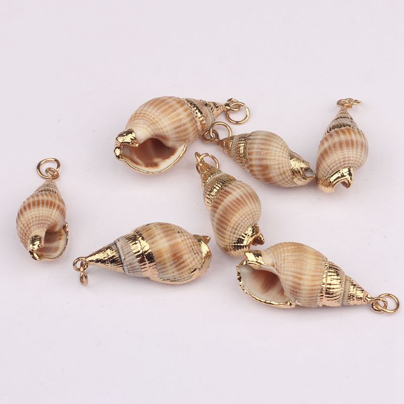 Natural Shell Accessories