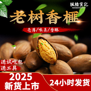 �����2025����؛�T�ߗ����خa��ӛ��鼹����b���b�Թ���ʳ