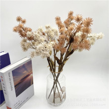 ���汱�W�ɻ����ɹ�֦ ��ع�β�Ͳ� ���ș����b��JȔ����֦����