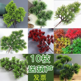 �~�ɘ�ؘ����Ϸ����b��ɘ�֦���~����ӭ�����~�Ӽ���֦���~���