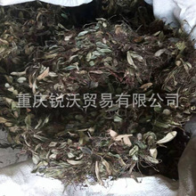 1000�����lɢ�b��ɱ�ʯɏ�����ٱ���ɏ�~�M���ǲݸ�Ʒ