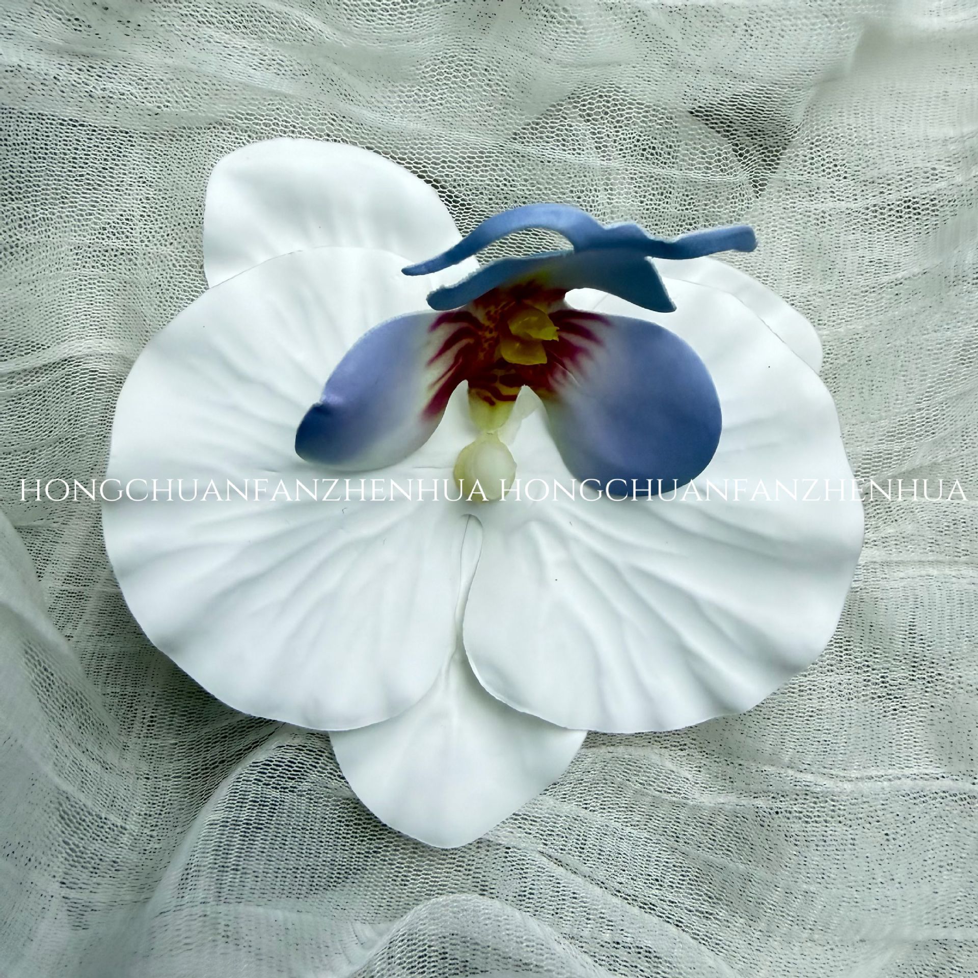 흰색과 파란색 하트