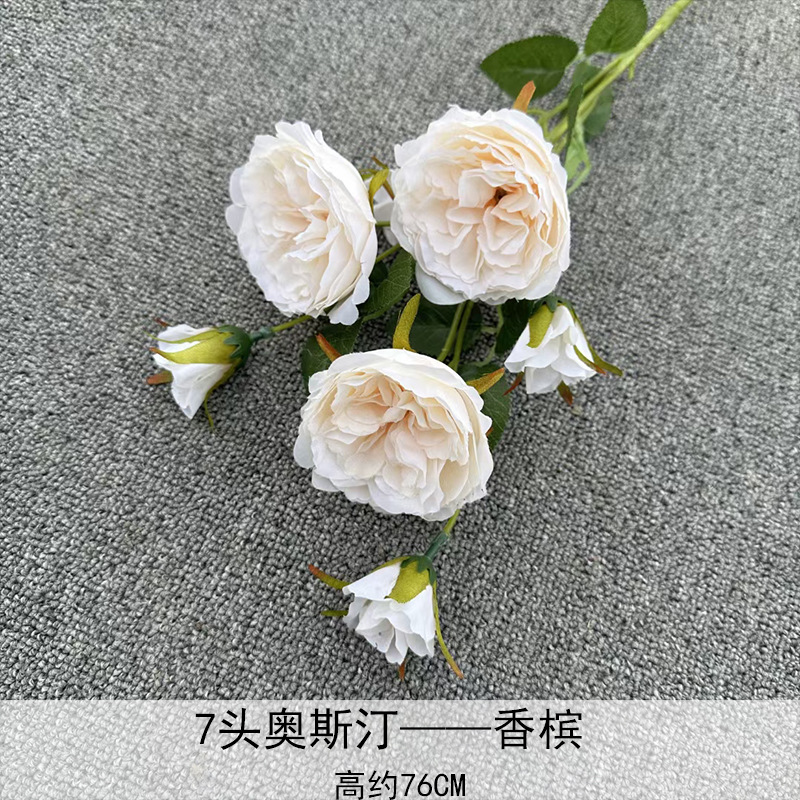 Champán Austin de 7 cabezas