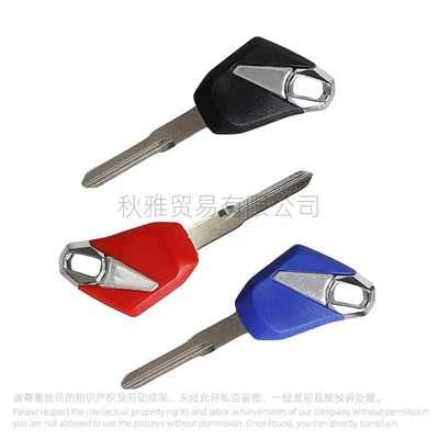 embryo chip, Motorcycle Key