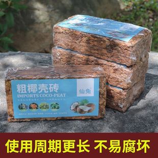 �m���I�B��Ҭ���u��Ҭ�������mʯ��ֲ�ϴ�Ҭ�K�ЙCÓ�}Ҭ�u���l