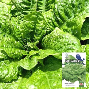 ���~�n��˷N�ӸC�u�˷N���~���n���n�S�~����˴����ļ��N�ӹ�˾